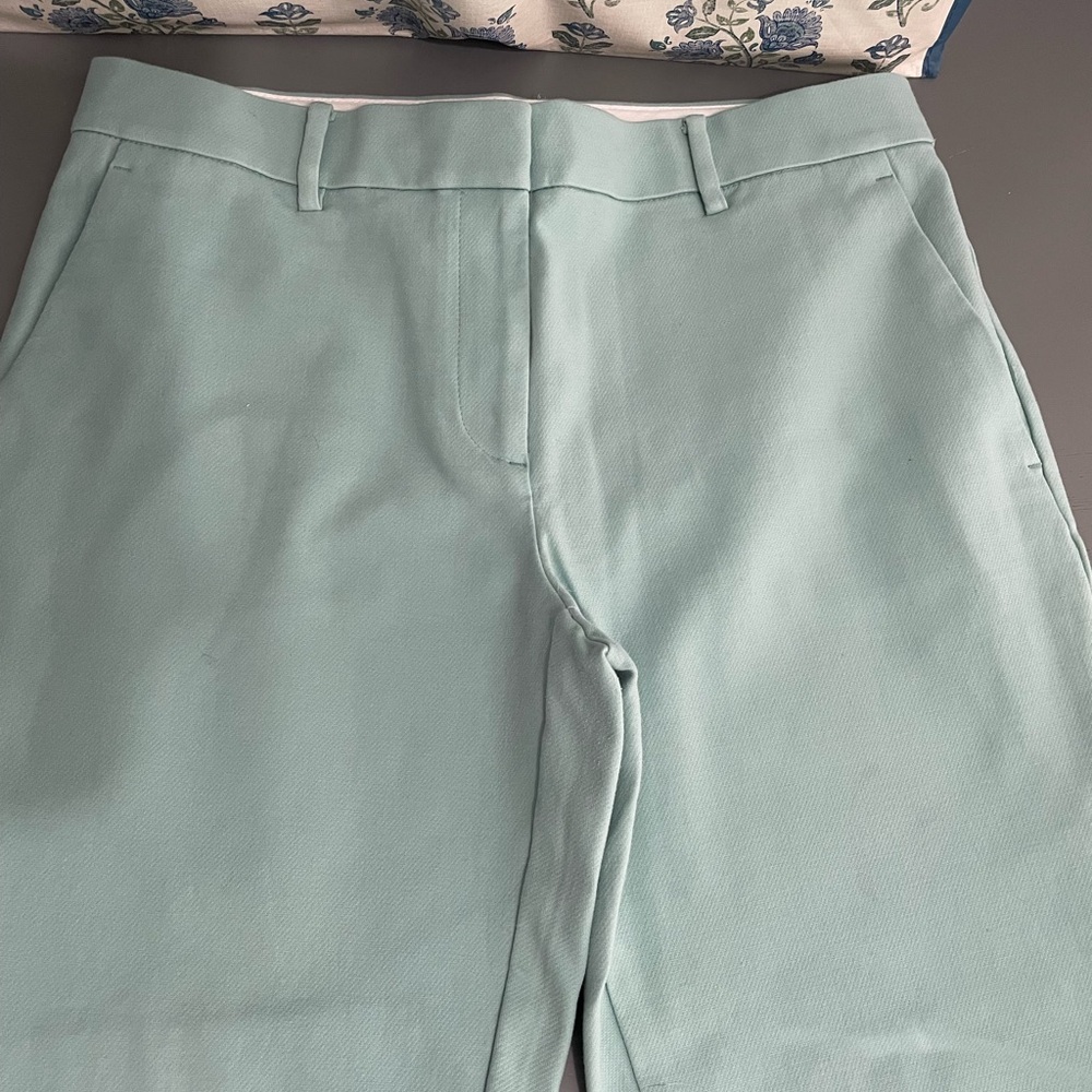 Ann Taylor Light Green Trousers